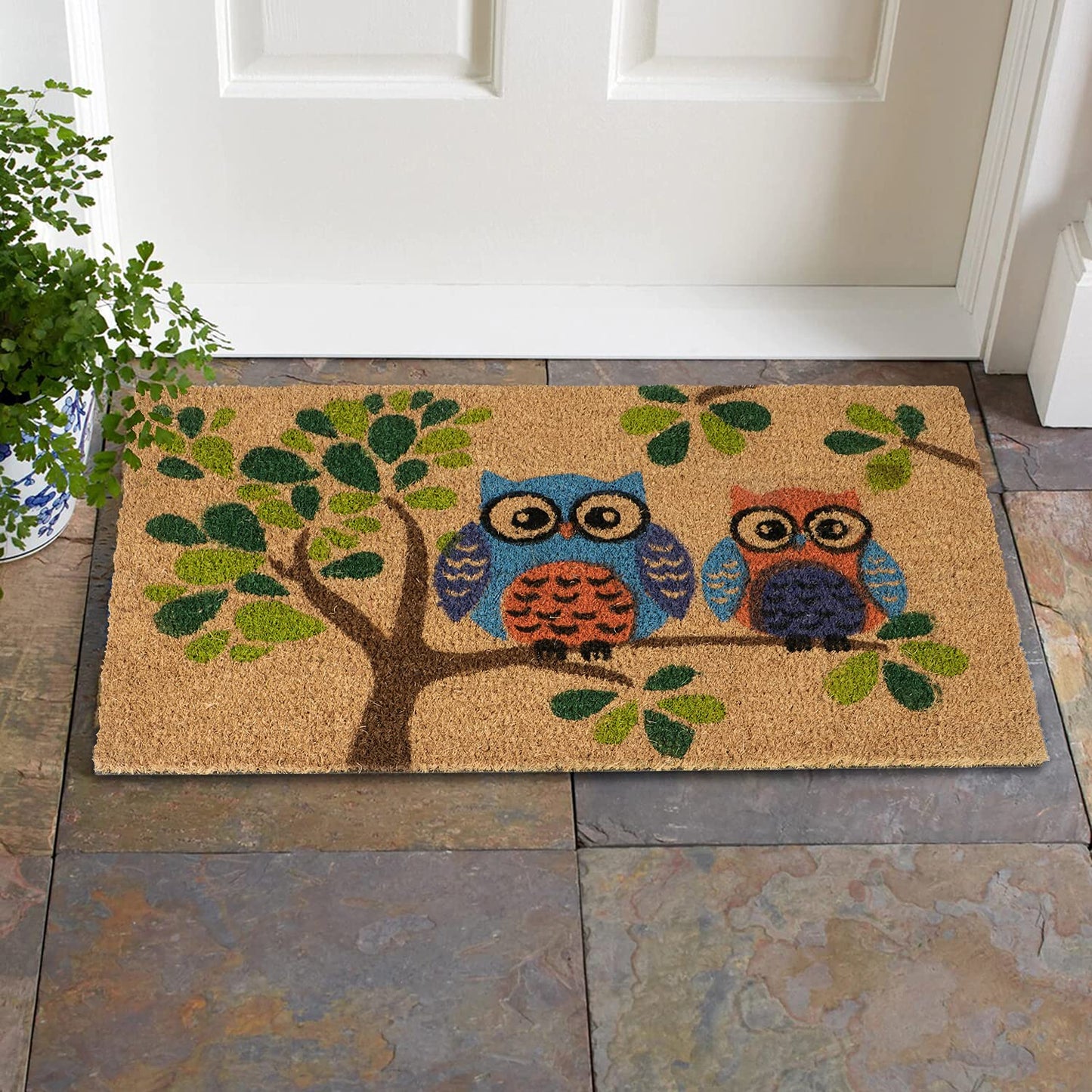 Large 45x75 Natural Coconut Coir Inside Outside Mats for Entrance Main Door Mat, Multicolor