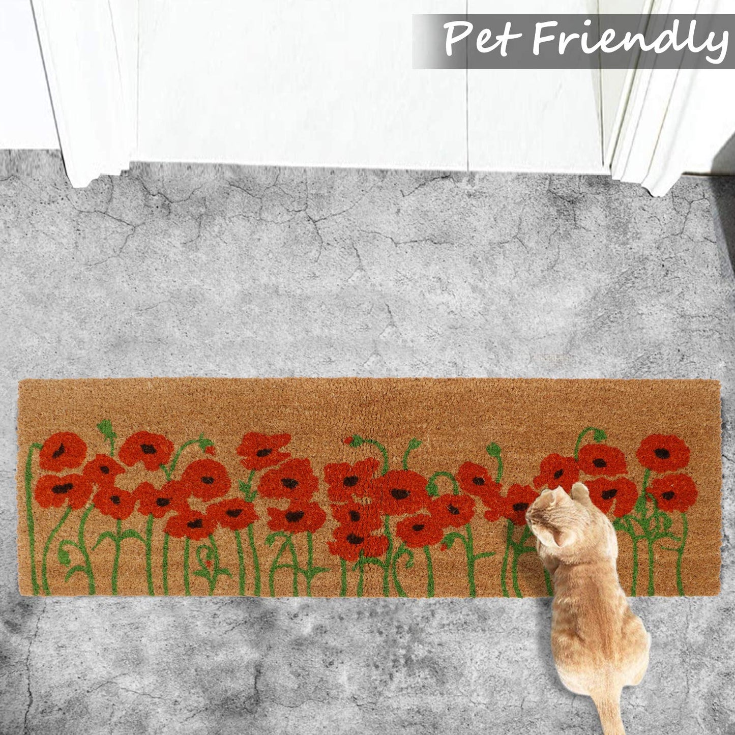 Coir Entrance Door Mat with Anti-Slip PVC Backing