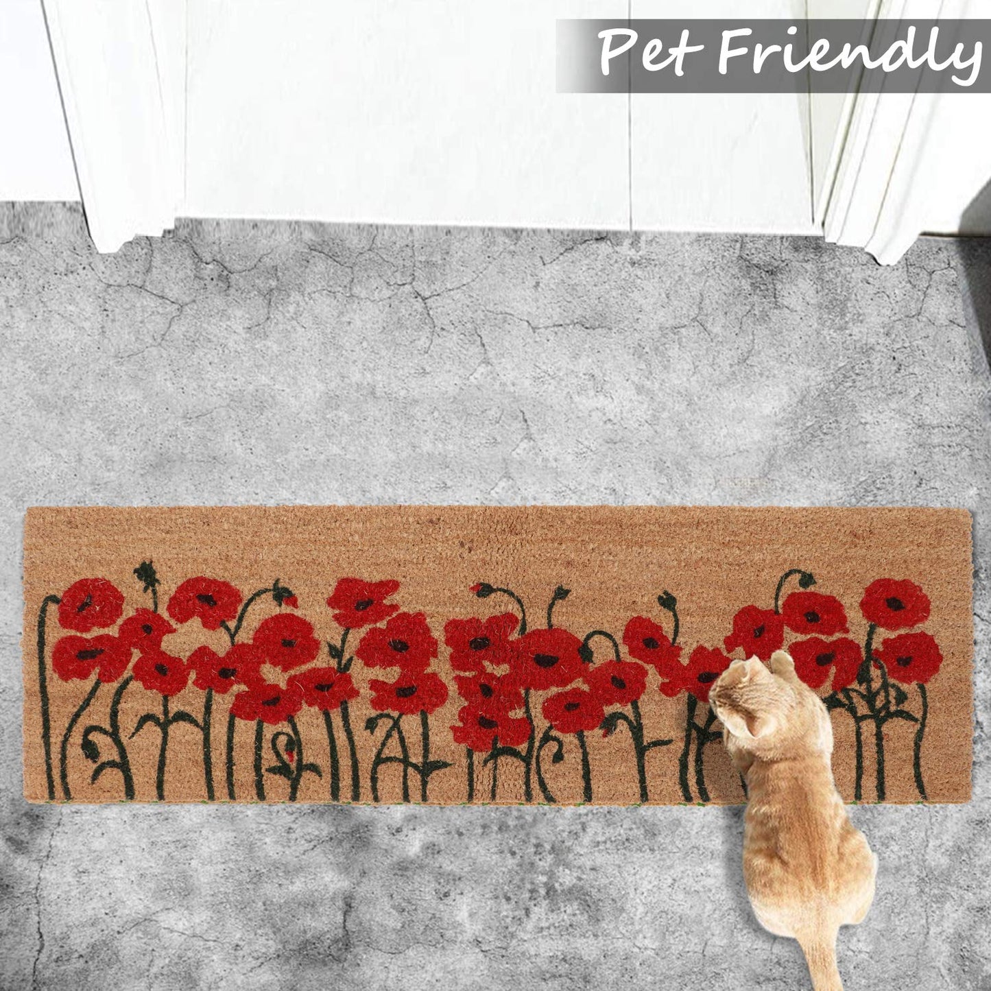 Coir Entrance Door Mat with Anti-Slip PVC Backing