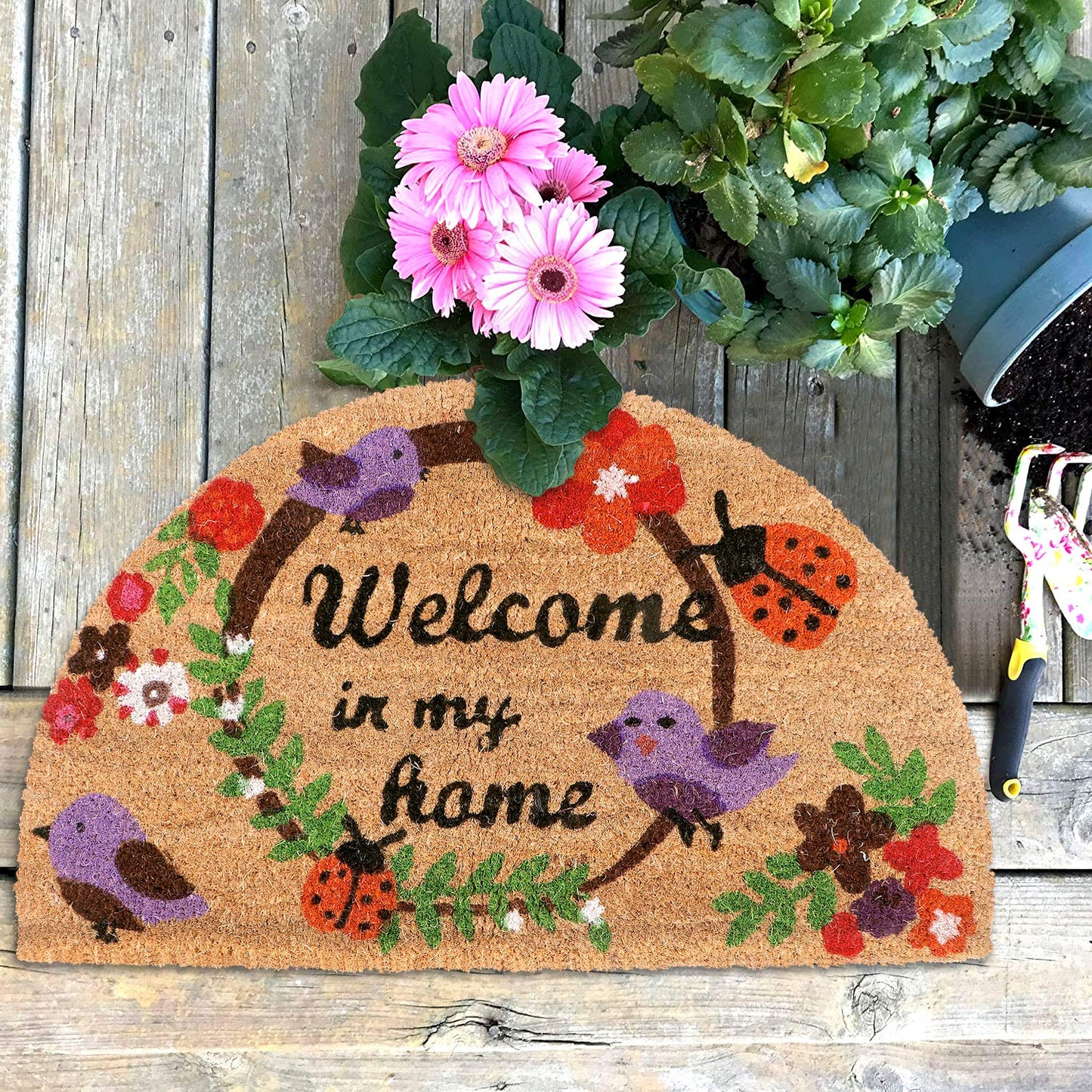 Large 45x75cm Coir Door Mats for Entrance Big Size Welcome Mat, Purple
