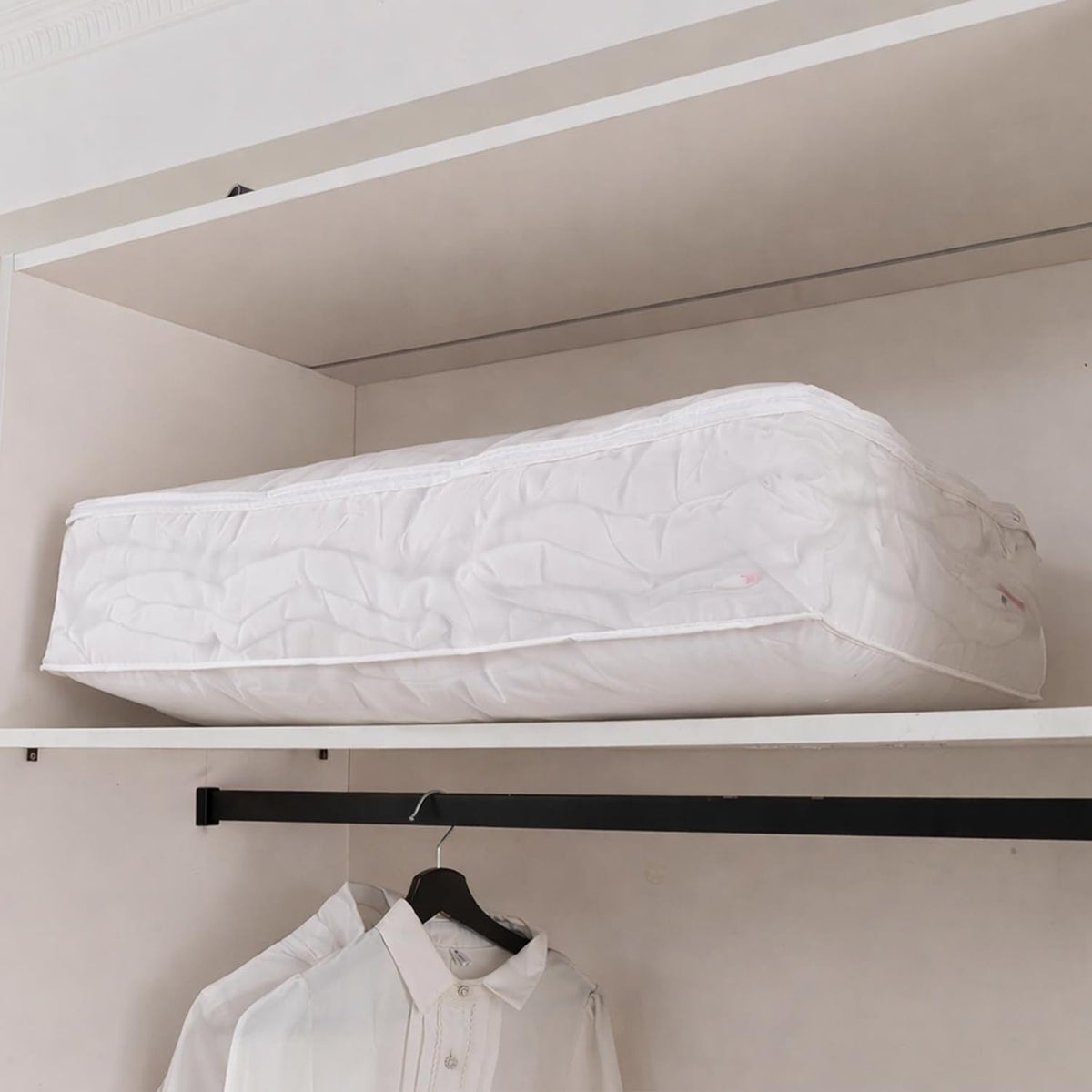 Foldable Clothes Organiser for Wardrobe and Closet Storage Bag - White