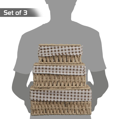 Environmental Friendly Paper Rope Wicker Storage Baskets with lid, Pack of 3, Beige