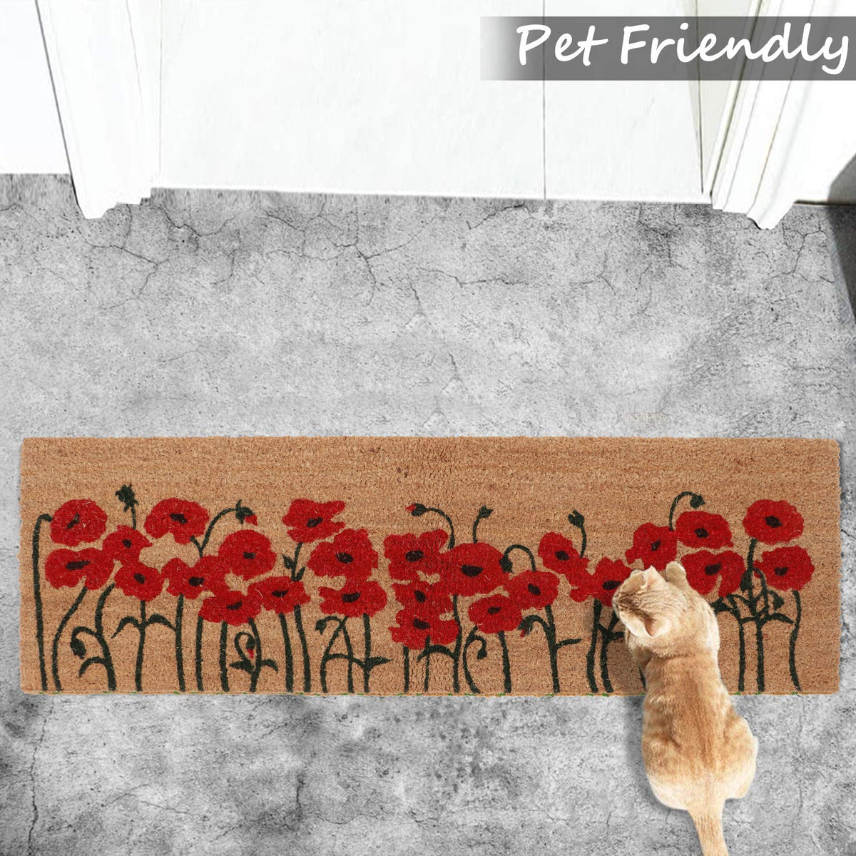 Coir Entrance Door Mat with Anti-Slip PVC Backing