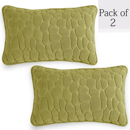 Buy Pristine Green Colour Premium Zippered Pebble Texture Milk Velvet pillow covers in set of 2