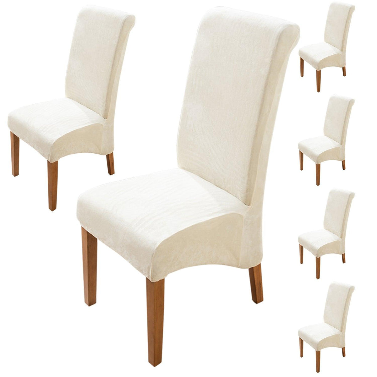 Premium Beige colour velvet long-back dining chair covers​ set of 6 | HOKIPO