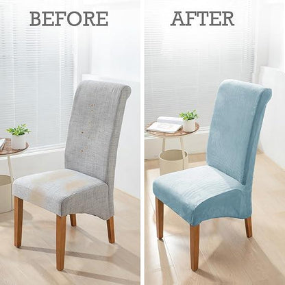 Elastic Stretchable Premium Velvet Long Back Dining Chair Cover, Sky Blue - HOKIPO | Har Ghar ka Humsafar