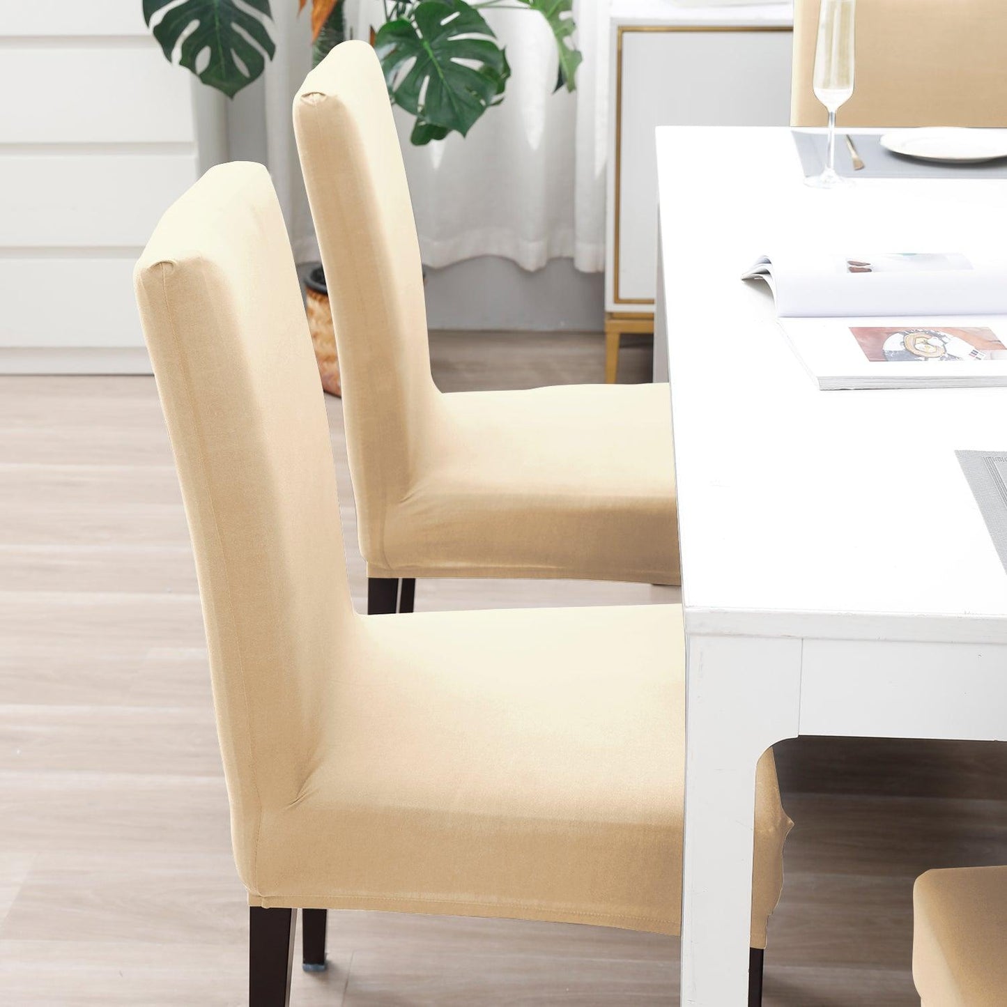 Elastic Stretchable Water Resistant Dining Chair Cover, Beige - HOKIPO | Har Ghar ka Humsafar